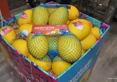 Pure Flavor launched their new greenhouse grown Alonna melon at the show. 